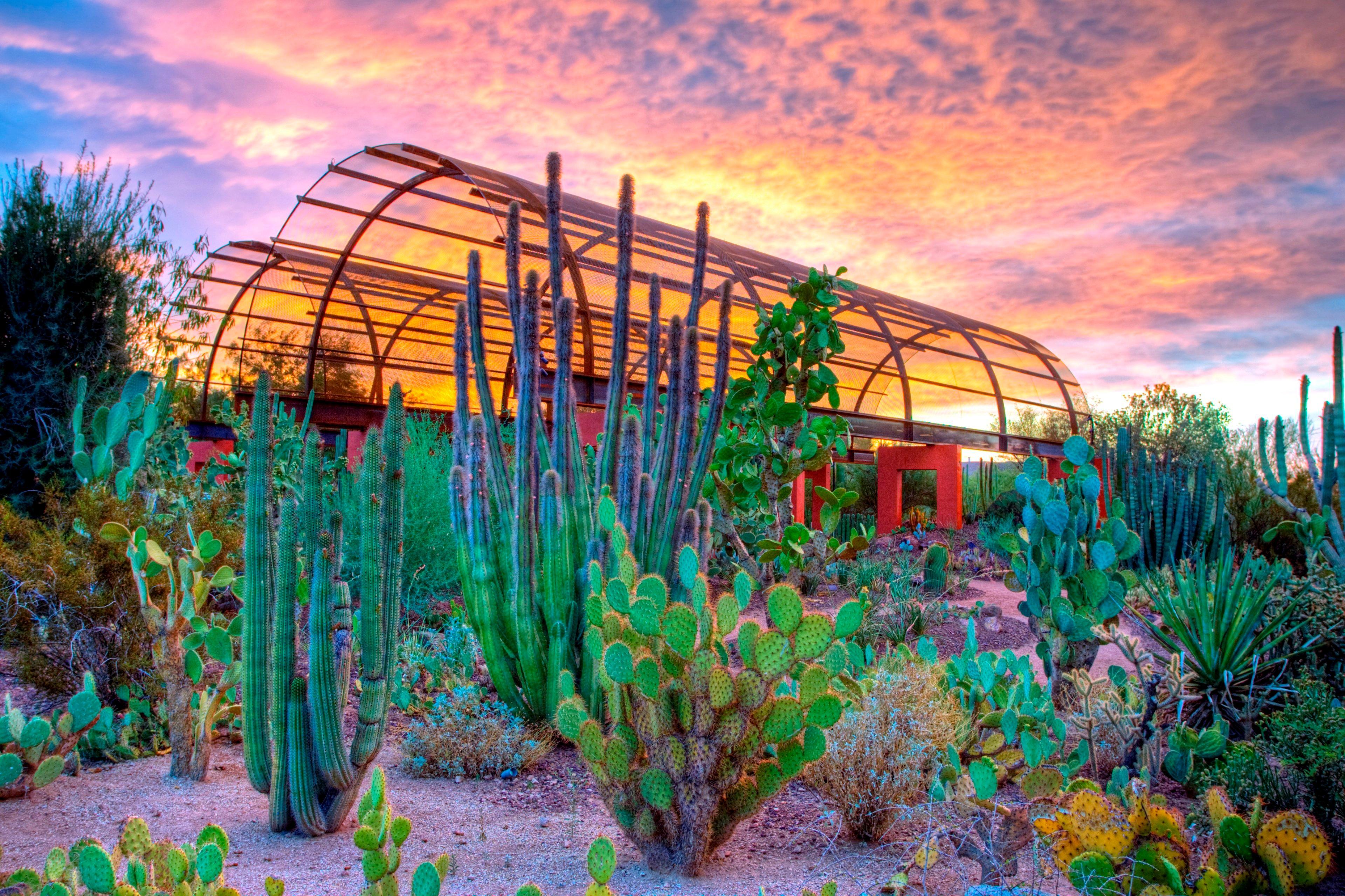 Holiday Inn Express & Suites - Phoenix - Airport North By Ihg Exterior foto